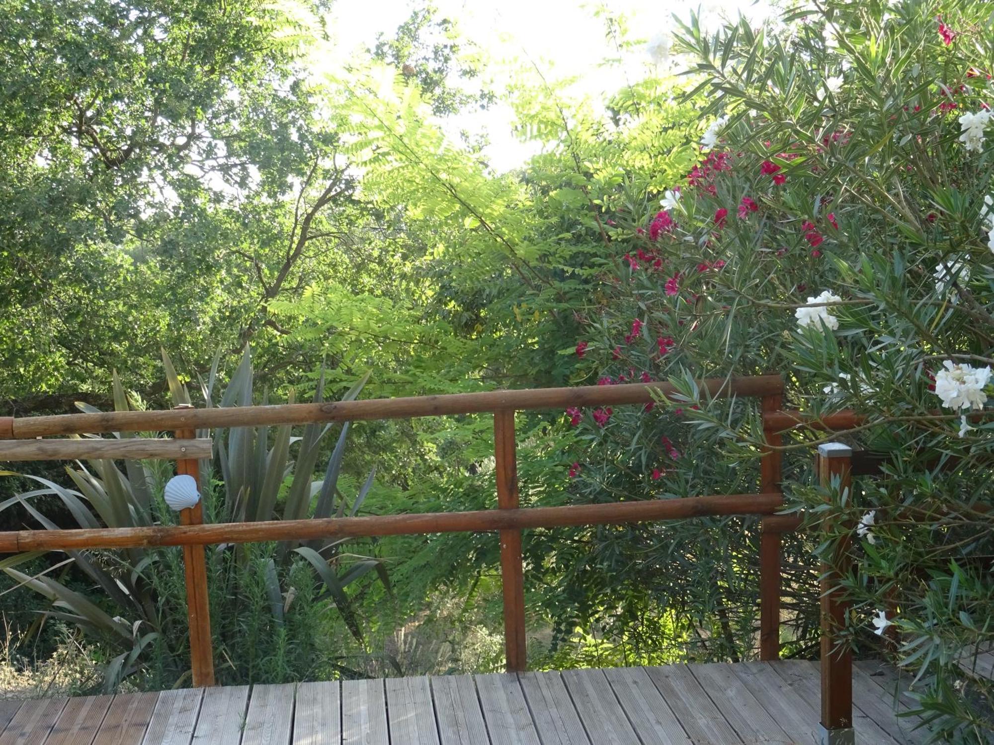 Les Ecrins D'Aix-En-Provence Villa Dış mekan fotoğraf