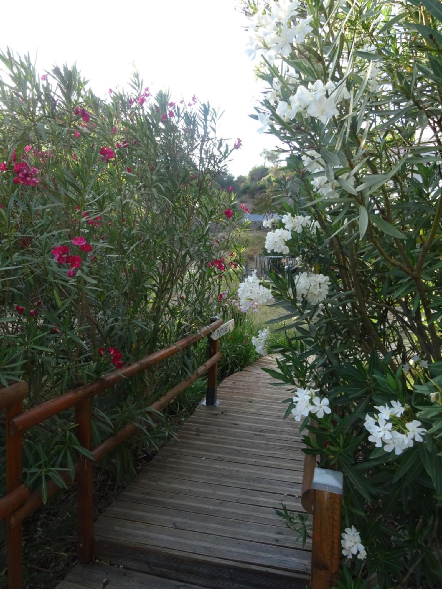 Les Ecrins D'Aix-En-Provence Villa Dış mekan fotoğraf