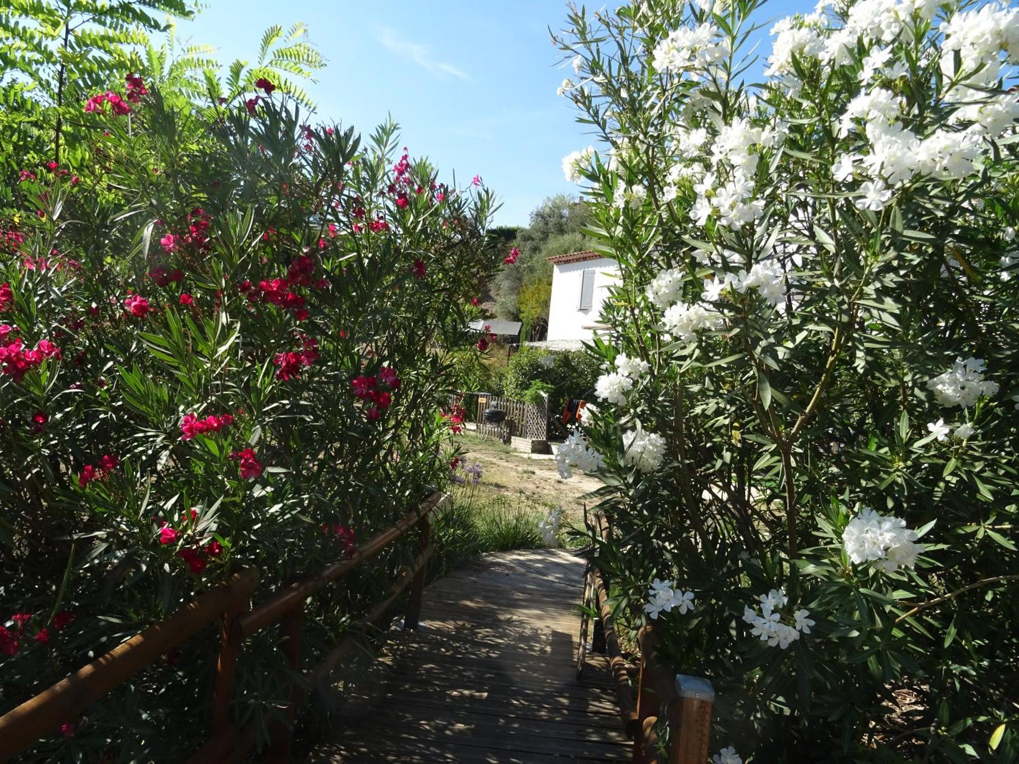 Les Ecrins D'Aix-En-Provence Villa Dış mekan fotoğraf
