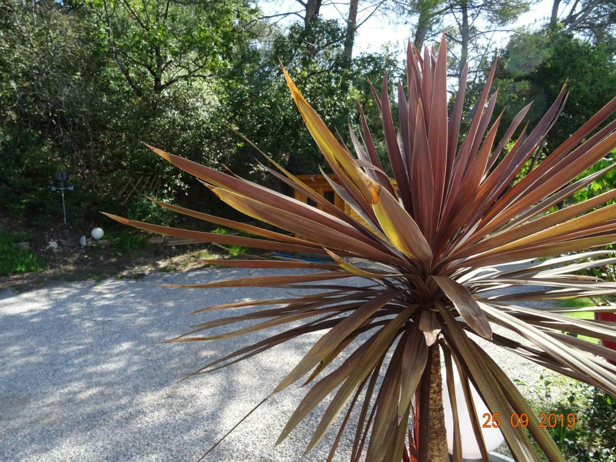 Les Ecrins D'Aix-En-Provence Villa Dış mekan fotoğraf